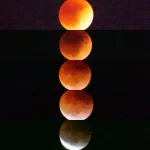 E475477E-D46B-4FEC-A7F3-921C61A15633.webp