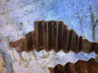 7D64F477-08B3-46B4-8156-27DC43B94DC4.webp