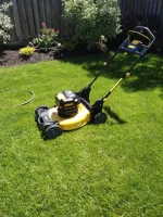 IMG_20220619_121421604.webp