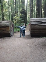 IMG_20220709_082904975.webp