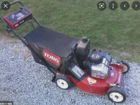 toro.webp