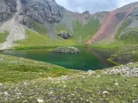 14.webp