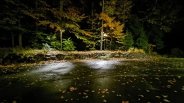 PXL_20221024_005103798.webp