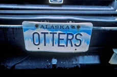 alaska.webp