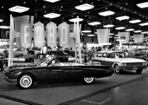 T Bird.jpg