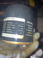 E4231D32-0CA8-4E22-BCDE-EFDD38B94B47.webp
