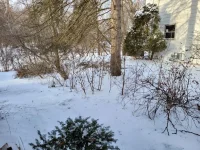 20221223_085456.webp