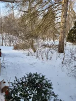 20221223_085451.webp