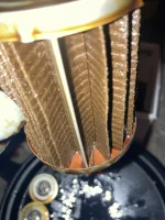 233C6223-EF98-4D71-A3DA-D76DBBE946B5.webp