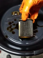 20230129_205318.webp