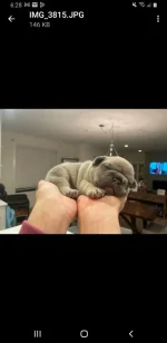 Screenshot_20221101-062821_Gmail.webp