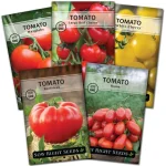 tomato seeds.webp