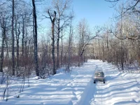 20230225_103620.webp