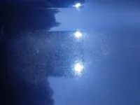PAINT1.webp
