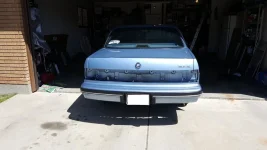 Tail Light.webp