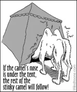 camel.webp