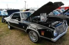 3417130-250-0.webp