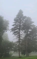 20230629_061416.webp