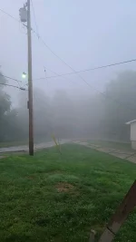 20230629_060828.webp