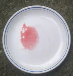 ATF_on_plate_July_23.webp