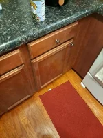 20230809_202218.webp