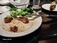 20230808_183419.webp