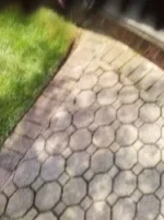 IMG_0299.jpeg