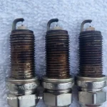 plugs 2.webp