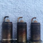plugs 1.webp