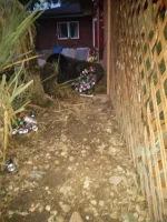 IMG_20230821_055722851.webp