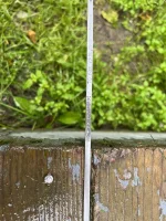 IMG_4609.webp