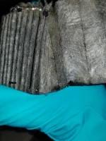 20230929_142317.webp