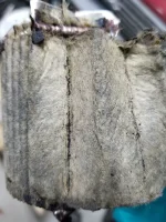 20230929_142430.webp
