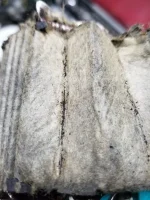 20230929_142439.webp