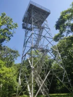 IMG_20200711_105414.jpg