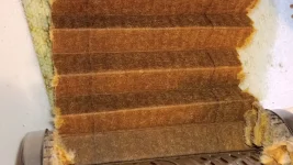 20231216_140020.jpg