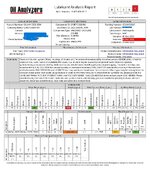I-794445 CAREYS SUBARU Report.jpg