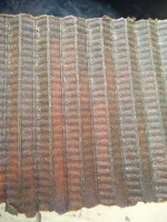 IMG_20240105_113024399.webp