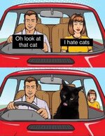 hate_cats.jpg
