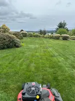 Grass.webp
