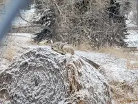 20220414_081836.webp