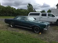 PicInDriveway.webp