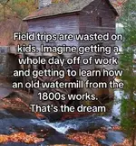 1747426089060.webp