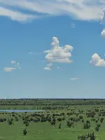 20240626_132150.webp