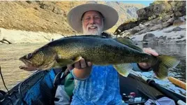 Me Walleye.webp