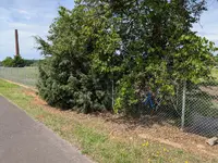 1000011259.webp