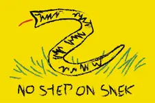 No_Step_On_Snek_(Gadsden_Flag).svg.webp