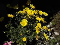 DSCN9010.webp