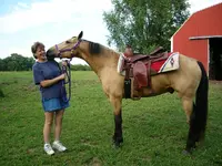 P1000524.webp