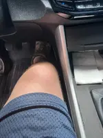 accord knee 2.webp